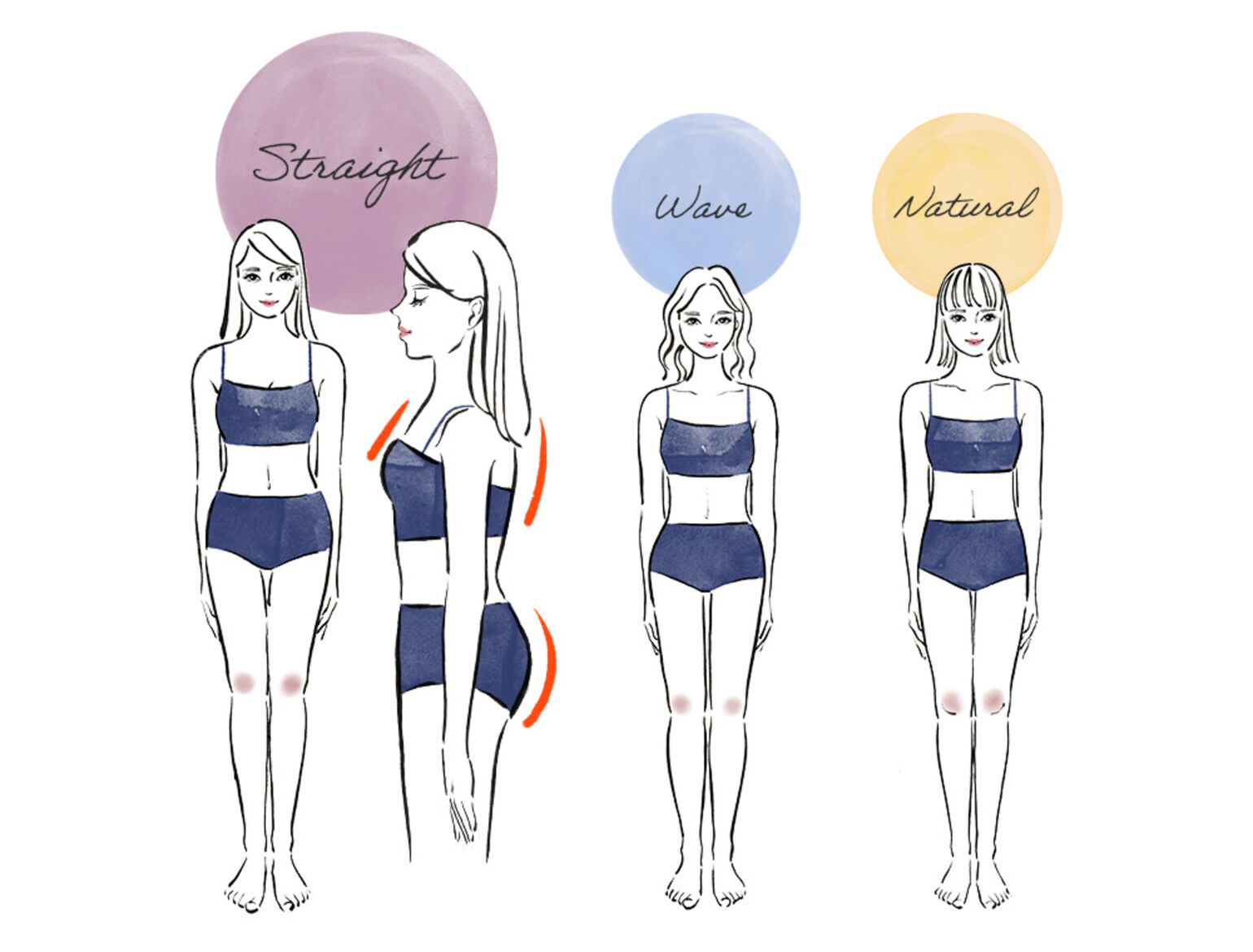 骨格診断イメージ