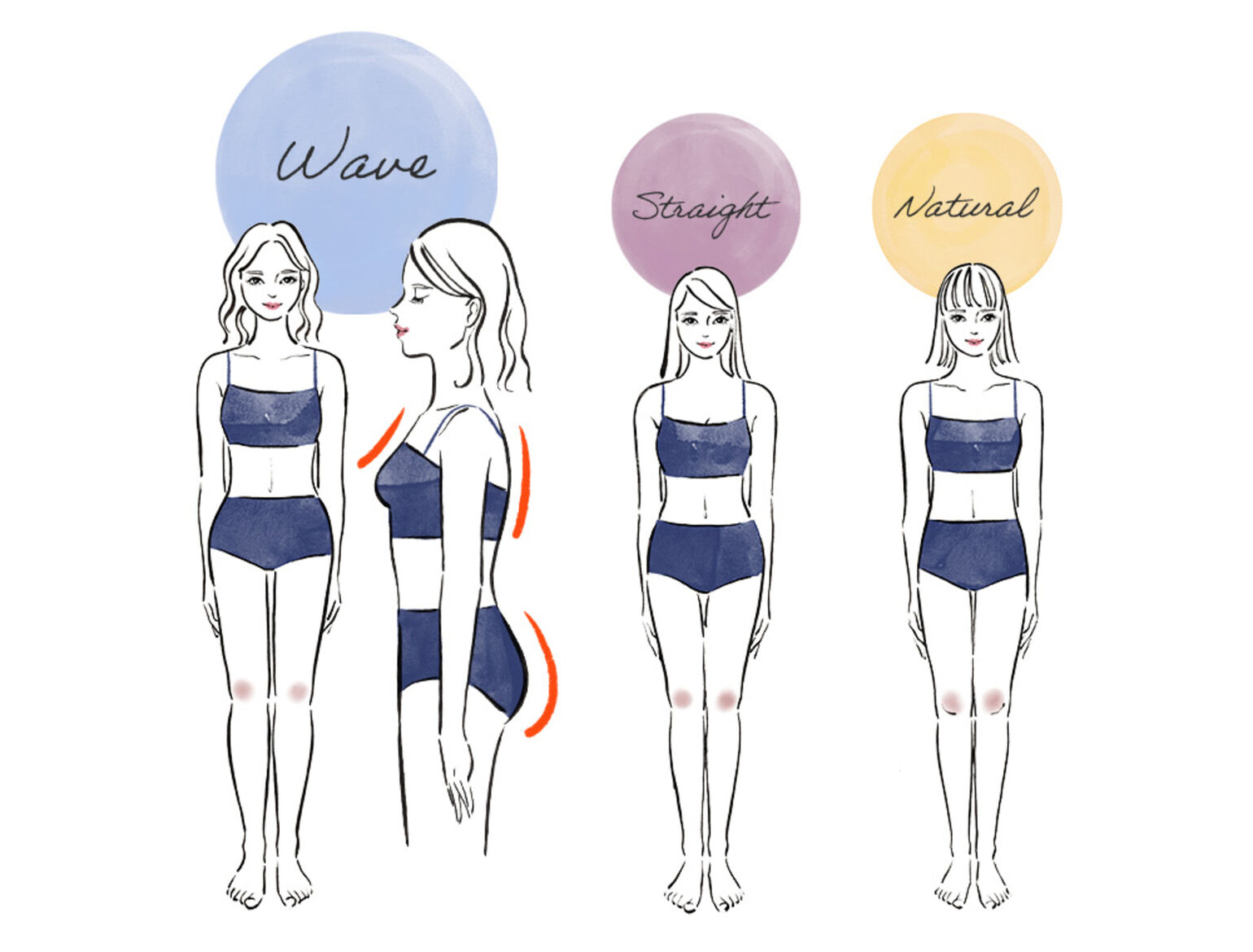 骨格診断イメージ