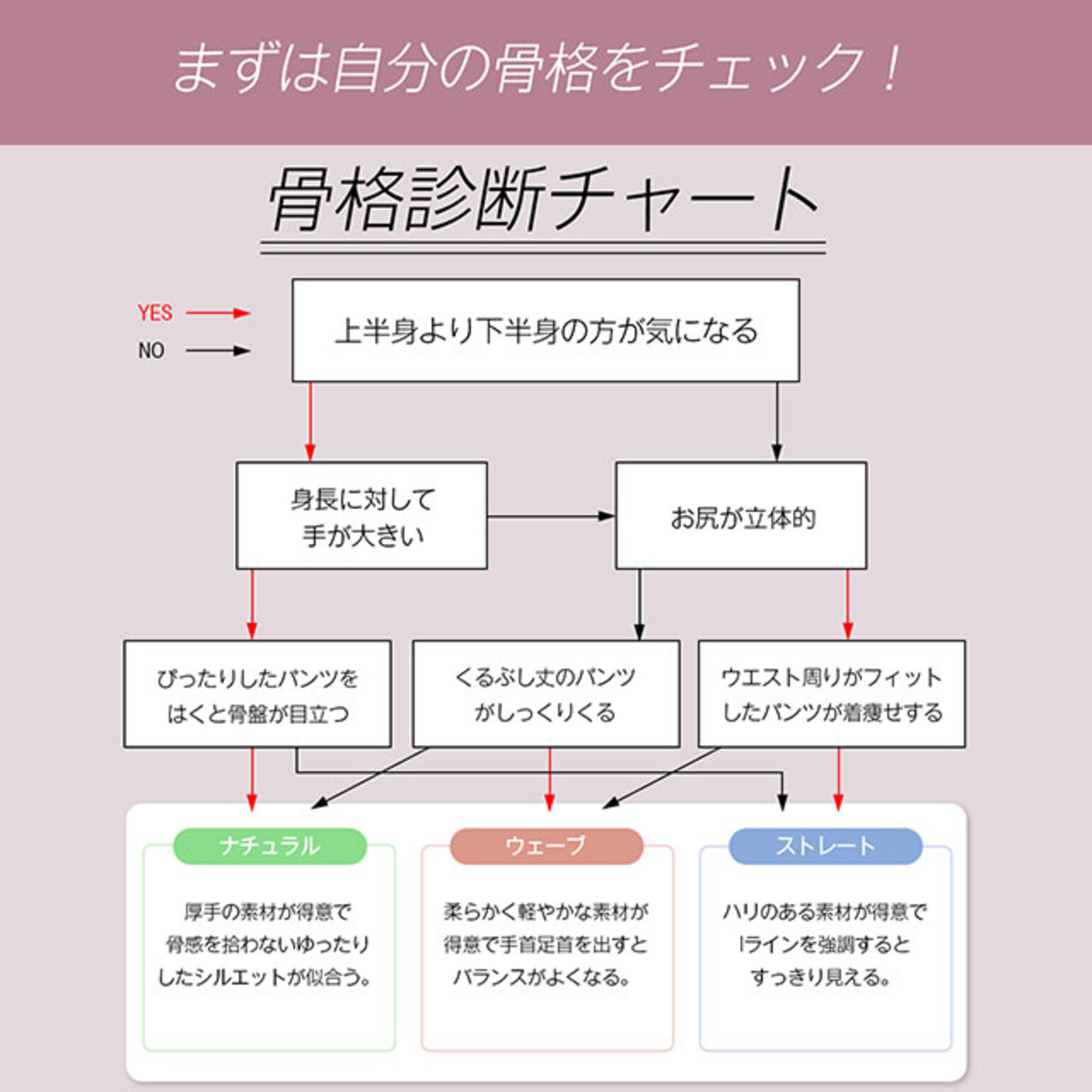 骨格診断チャート