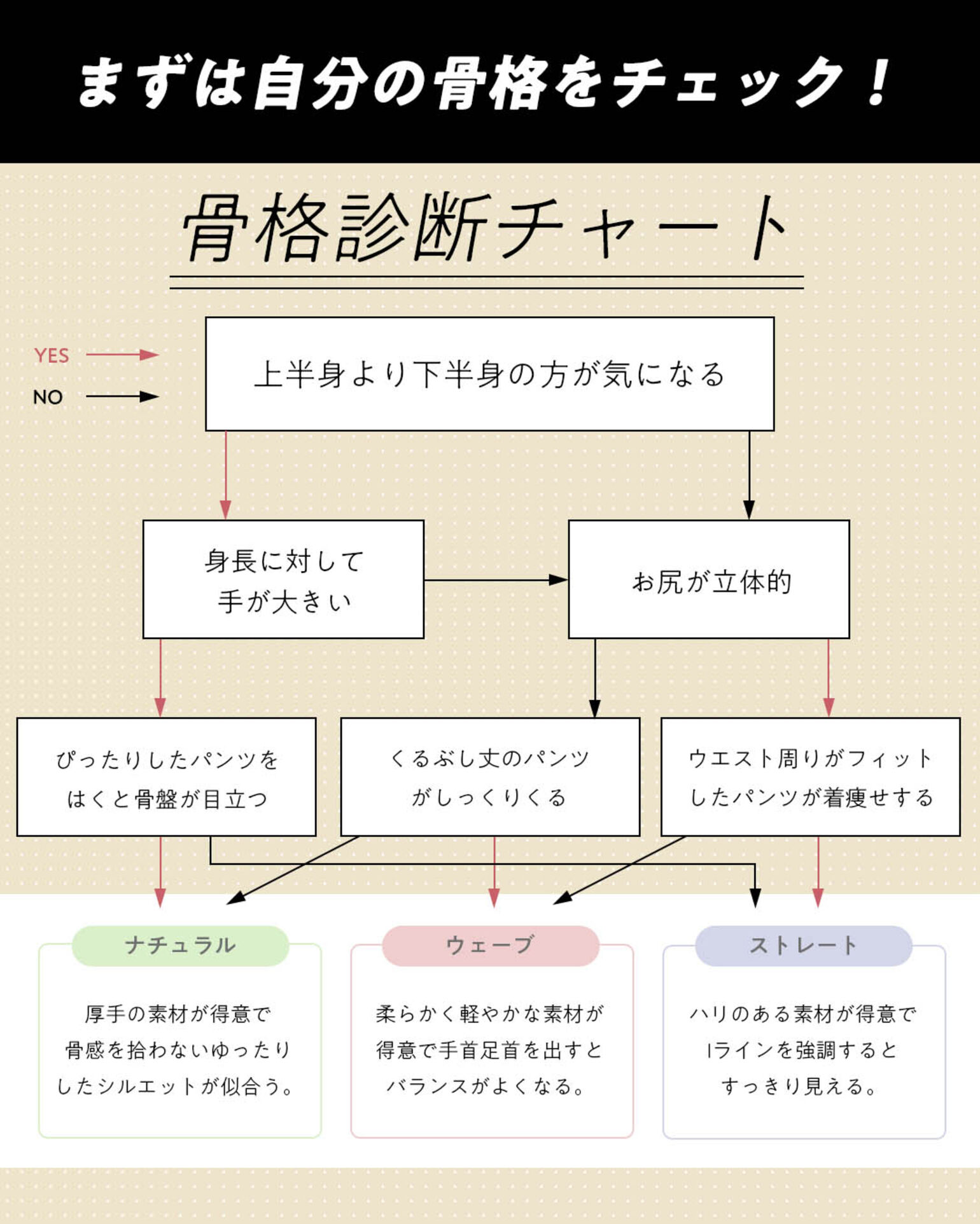 骨格診断チャート図