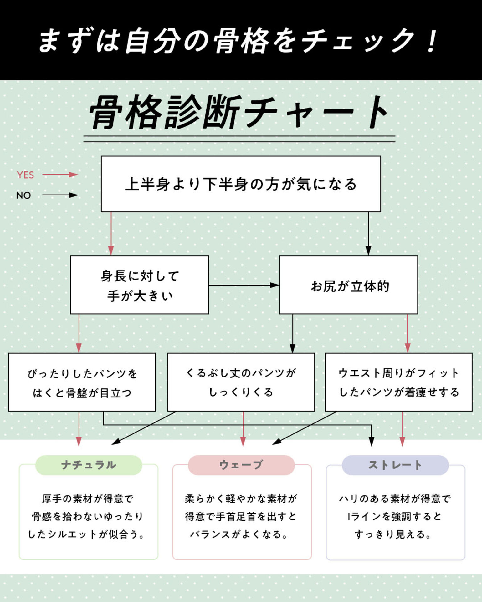 骨格診断チャート